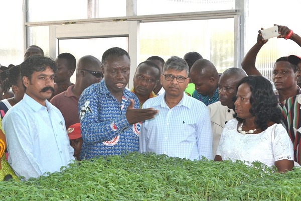 Transplanting at Tomato Pilot Research Project at Ada