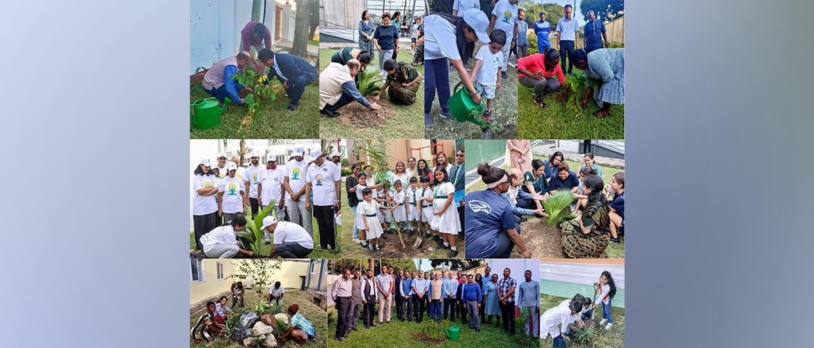 Tree Plantation Drive in Ghana as part of the ##एक_पेड़_माँ_के_नाम (#Plant4Mother) campaign
launched by Hon. PM Shri Narendra Modi